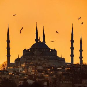 逼逼爱插插乐享网
